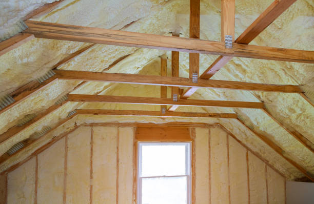 Best Insulation Maintenance and Repair in Home Gardens, CA