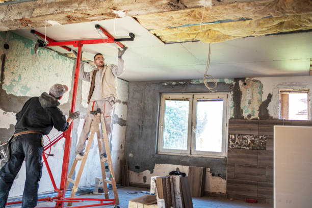 Best Specialized Insulation Services in Home Gardens, CA