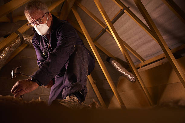 Best Energy Efficiency Insulation in Home Gardens, CA